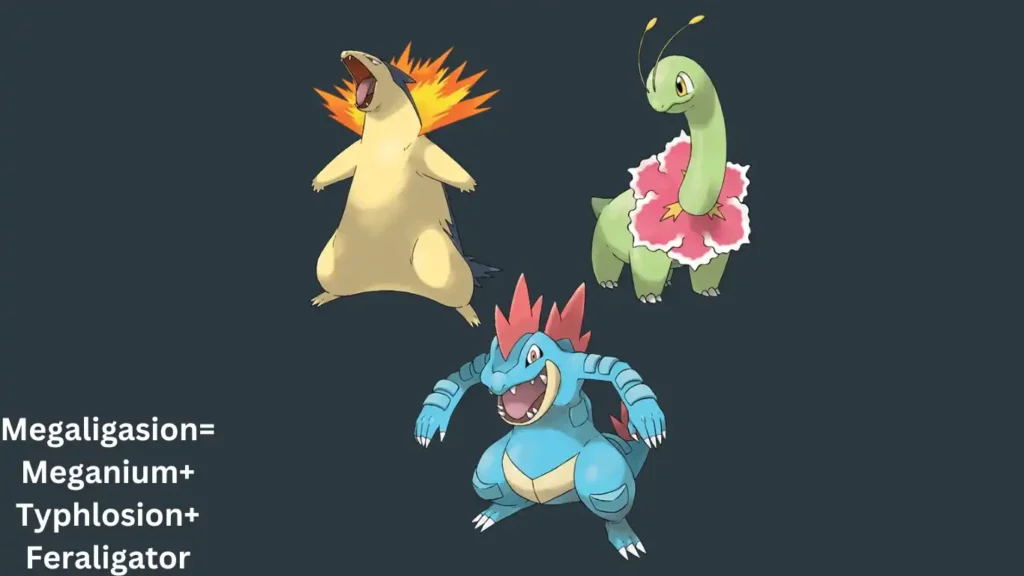 The meganium+typhlosion+feraligator with dark grey background are showing.